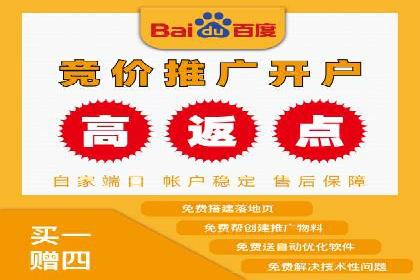 揭秘百度竞价排名：实战案例解析